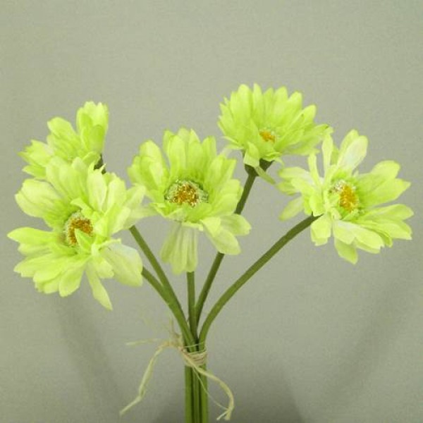 Top 5 Flowers In The World