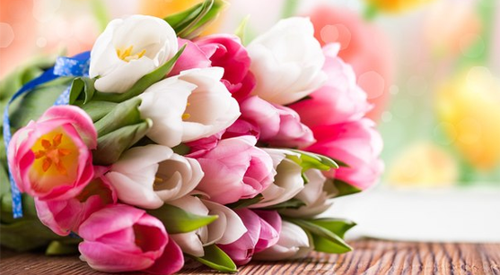 Top 5 Flowers In The World
