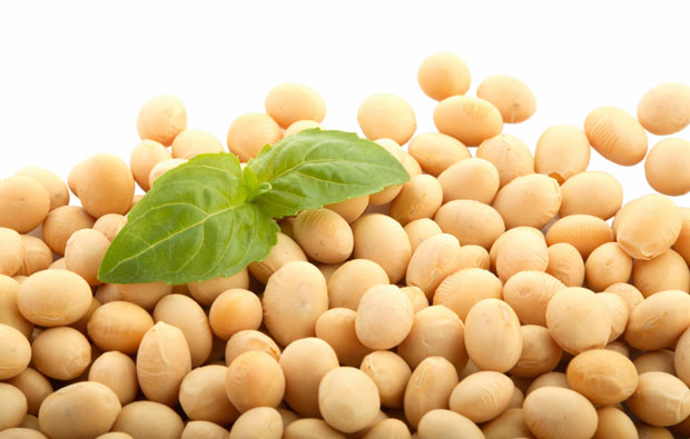 Is Soy Protein Safe To Be Taken?