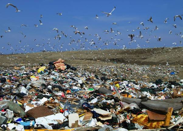 Sanitary Landfills & Disposal Of Waste To Save The Globe