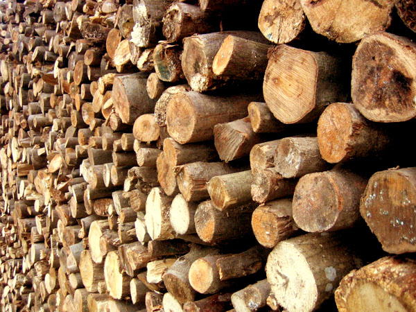 Importance And Uses Of Biomass Fuel