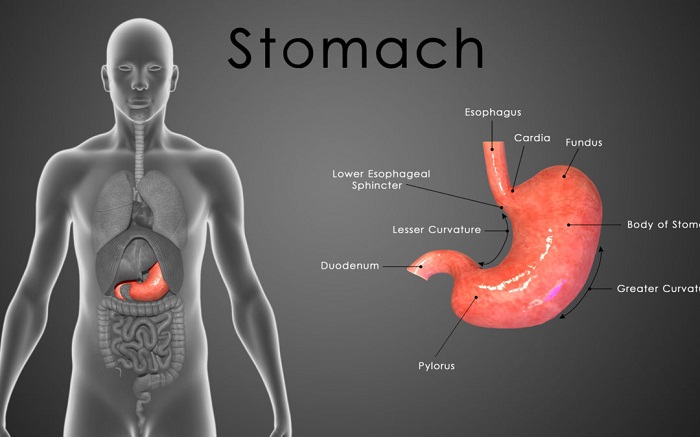 gastric-bypass-surgery