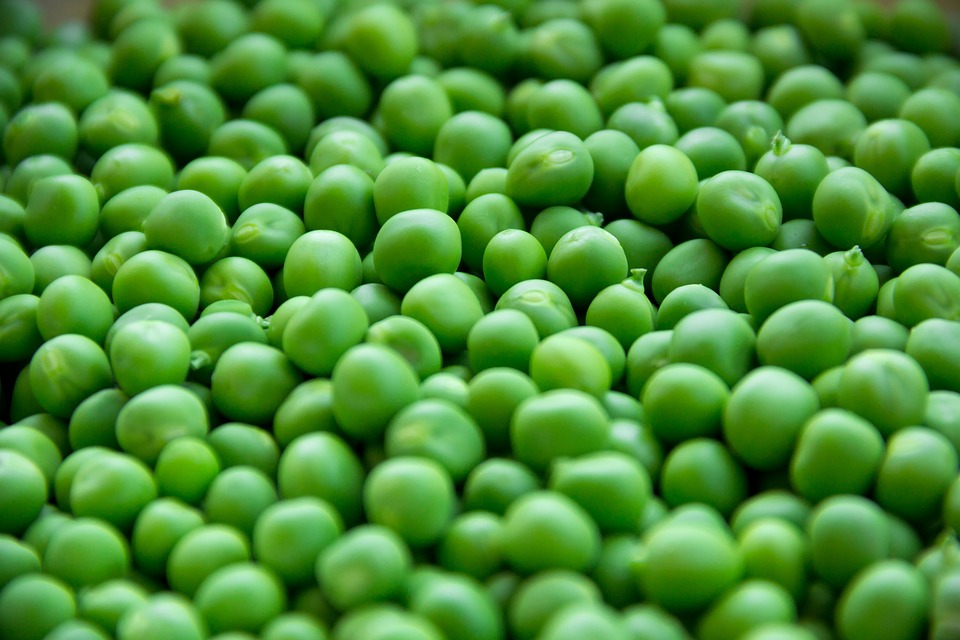 Pea Variety For Garden With Health Benefits