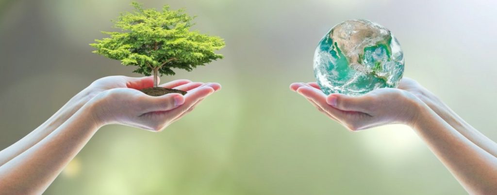 How To Inspire Environmental Awareness In Employees And Customers