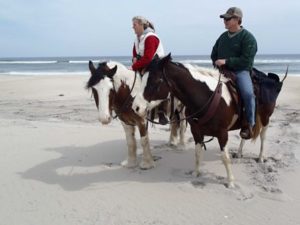 Tips and Suggestions For Long Horse Riders — Factors You Must Consider When Planning A Trip