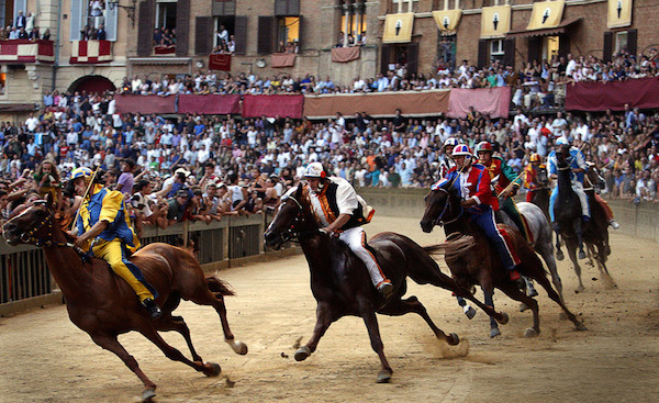Tips and Suggestions For Long Horse Riders — Factors You Must Consider When Planning A Trip
