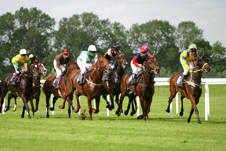 Tips and Suggestions For Long Horse Riders — Factors You Must Consider When Planning A Trip