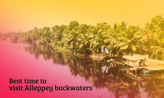 Best time to visit Alleppey backwaters