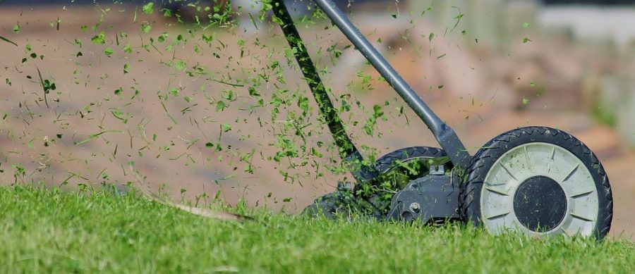 4 Best Methods For A Healthy Lawn