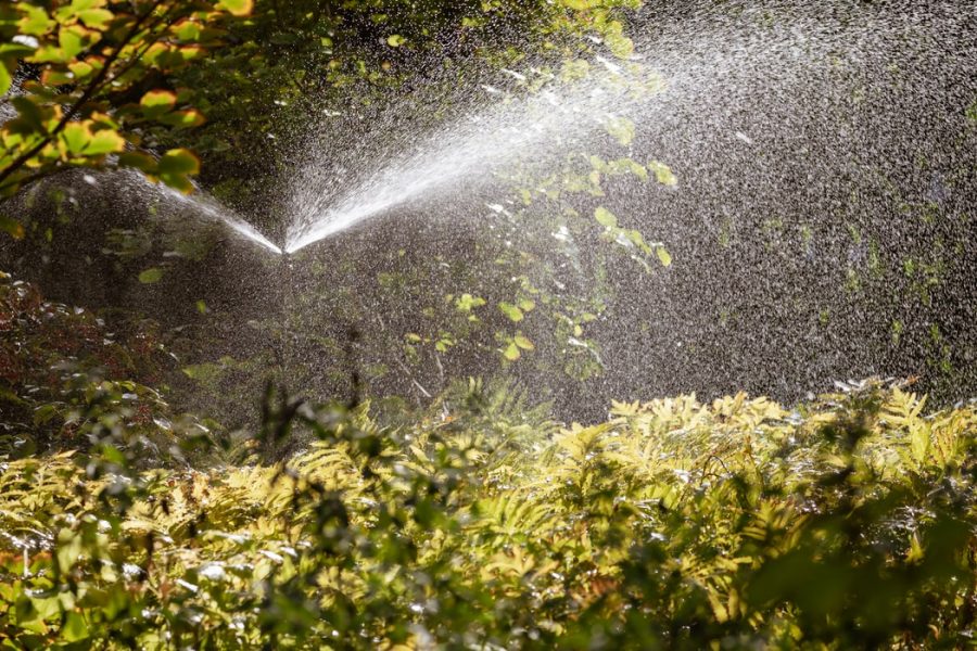 How to Make Your Sprinkler System More Water Efficient This Summer